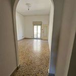 Rent 2 bedroom apartment of 70 m² in Palermo