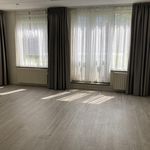 Rent 2 bedroom apartment of 50 m² in Oss