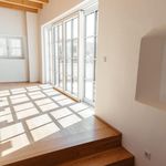 Rent 4 bedroom apartment of 147 m² in Wels