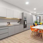 Rent 20 bedroom apartment in Dublin