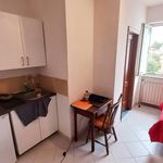 Rent 1 bedroom apartment of 30 m² in Roma