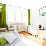 Rent 3 bedroom apartment of 51 m² in Warszawa