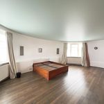 Rent 4 bedroom house of 520 m² in Zaventem