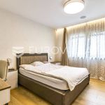 Rent 4 bedroom house of 500 m² in Zagreb
