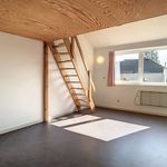 Huur 4 slaapkamer huis van 700 m² in Hoeilaart