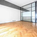 Pronajměte si 1 ložnic/e byt o rozloze 228 m² v Praha