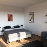 Rent 1 bedroom apartment of 34 m² in Rostock