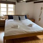 Rent 3 bedroom apartment of 105 m² in Schleswig