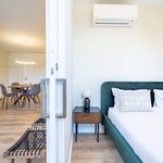 Rent 1 bedroom apartment in Braga