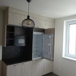 Rent 1 bedroom apartment of 28 m² in Veselí nad Moravou