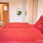 Rent 3 bedroom apartment of 80 m² in Dresden