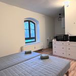 Miete 1 Schlafzimmer wohnung von 22 m² in Dresden