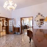 Rent 5 bedroom apartment of 140 m² in Venezia