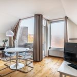 Rent 1 bedroom apartment of 50 m² in Leiden