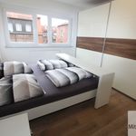 Miete 2 Schlafzimmer wohnung von 60 m² in Nuremberg