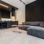 Rent 2 bedroom apartment of 61 m² in Poznań
