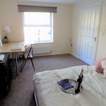 Rent 4 bedroom apartment in Coventry