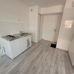 Rent 1 bedroom apartment of 34 m² in Lille