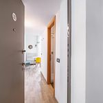 Rent 1 bedroom apartment of 25 m² in Milan