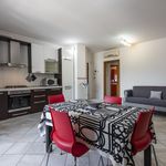 Rent 4 bedroom apartment of 60 m² in Florence
