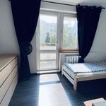 Rent a room of 68 m² in Wrocław