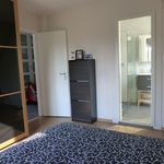 Rent 4 bedroom house of 110 m² in Hégenheim
