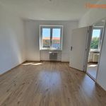 Rent 2 bedroom apartment of 50 m² in Karviná