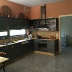 Rent 5 bedroom house of 600 m² in Filothei