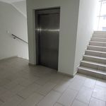 Wynajmij 3 sypialnię apartament z 67 m² w Kraków