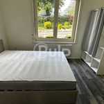 Rent 2 bedroom apartment of 36 m² in Saint Pol Sur Ternoise