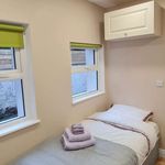 Rent 16 bedroom apartment in Dublin