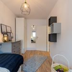 Rent 3 bedroom apartment of 60 m² in Berlin