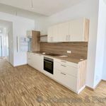 Rent 1 bedroom apartment of 36 m² in Dresden