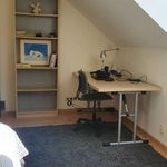 Rent a room of 150 m² in Wroclaw