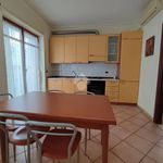 Affitto 2 camera appartamento di 80 m² in Ragusa