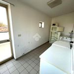Rent 1 bedroom apartment of 10 m² in Padua