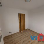 Rent 3 bedroom apartment of 56 m² in Zielona Góra