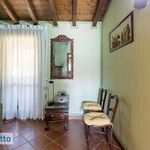 Rent 3 bedroom apartment of 60 m² in Castel Gandolfo