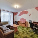 Rent 2 bedroom apartment of 58 m² in Mariánské Lázně