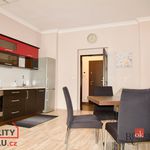 Rent 2 bedroom apartment of 40 m² in Karlovy Vary