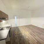 Rent 1 bedroom apartment of 60 m² in Teplice