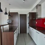 Rent 3 bedroom apartment of 110 m² in Píšťany