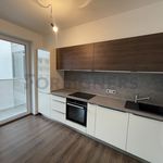 Rent 3 bedroom apartment of 87 m² in Pardubice