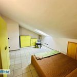 Rent 2 bedroom apartment of 45 m² in Alba