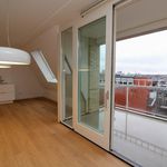 Rent 2 bedroom apartment of 91 m² in Utrecht