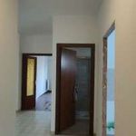 Rent 2 bedroom apartment of 100 m² in Otricoli