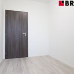 Rent 2 bedroom apartment of 30 m² in Brno