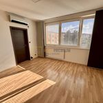 Rent 2 bedroom apartment of 44 m² in Uherské Hradiště