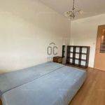 Rent 2 bedroom apartment of 44 m² in Debrecen