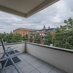 Rent 2 bedroom apartment of 58 m² in Celle
